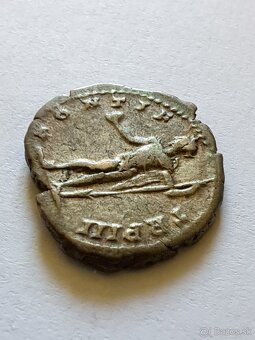 Caracala - 6