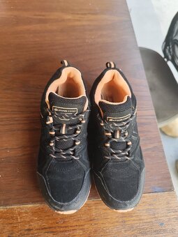 Alpine pro OLA2 - 6