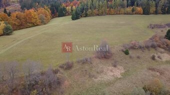 Rozľahlý pozemok pre individuálnu rekreáciu- Čertov 91.147m2 - 6