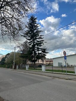 Predám kmene smrek - 6