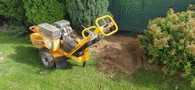 Frézovanie pňov, odstránenie pňov po výrube, arboristika - 6
