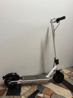 Elektrická kolobezka SP - 6