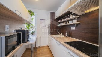 3i chyžka s terasou blízko centra - 6