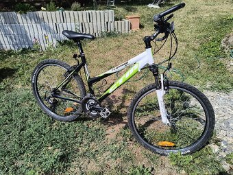 Dmasky bicykel CTM Terrano lady 2.0 - 6