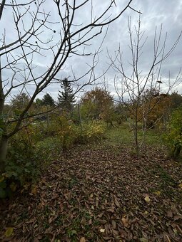 Záhrada vo Svätom Jure - 6