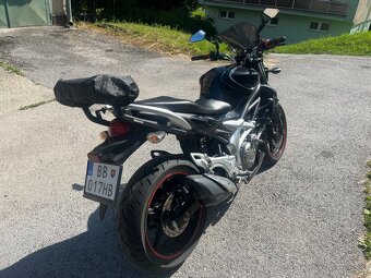 Suzuki SFV 650 Gladius - 6