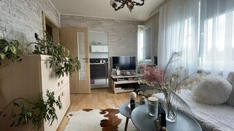 Útulný 1izb.byt v Košútoch – ideálny pre začiatok/prenájom - 6