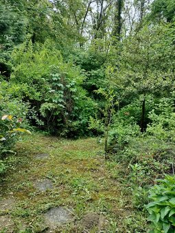 Na predaj záhrada Šípková Vyšné Opátske, znížená cena - 6