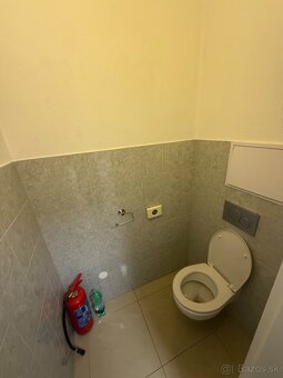 Obchodný priestor Botanika - 6