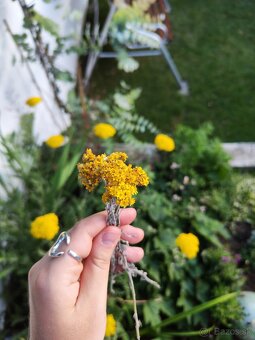 🌻Kytička sušených žltých slameničiek - 6