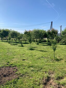 Dom s pozemkom a záhradou - 6