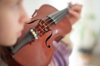 Husle 1/2 Antonius Stradivarius - 6