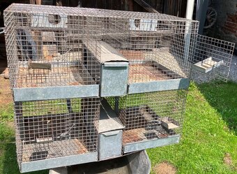 Predam chovne klietky činčila, kralik, prepelica - 6