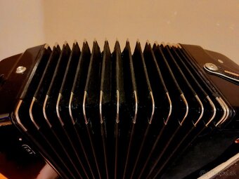 Royal Standard Selecta 120 basov cassotto - 6