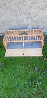 Predám poštové holuby / Eladók postagalambok - 6