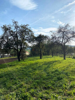 Na predaj stavebný pozemok o výmere 2171 m² s ovocným sadom - 6