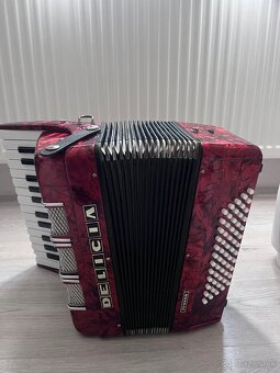 Harmonika DELICIA - 6
