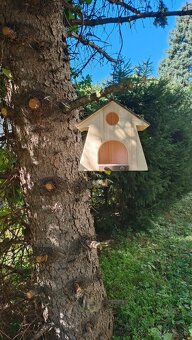 Vtáčia búdka krmitko - 6