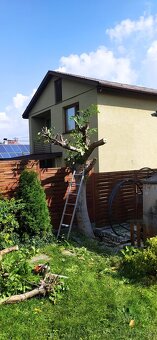 Priečne rezanie kmeňov stromu - 6