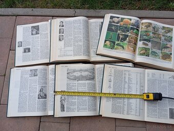 Malá Česko Slovenská encyklopédia - 6