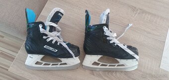Korcule Bauer Y12 - 6