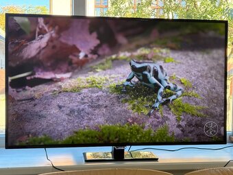 Philips 50PUT6400/12 UHD Smart 127cm Android - 6