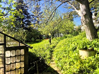 Predaj// záhrada nad kúpaliskom Handlová// 501 m² - 6