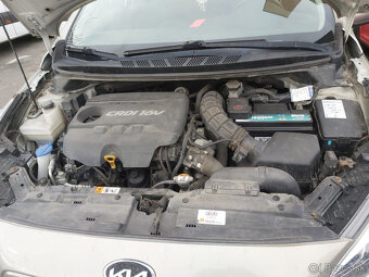 predam Kiu ceed - 6