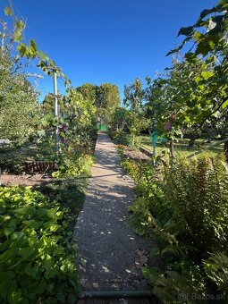 Záhradka s domčekom (400m2) - Mestský majer - 6