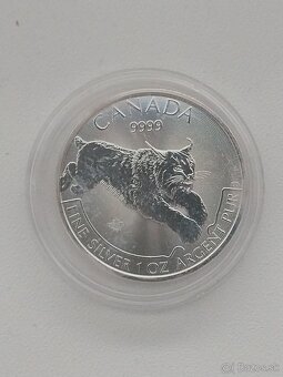 Strieborne investičné mince 1 OZ - 6