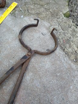 Kliešte.gule.panty. - 6