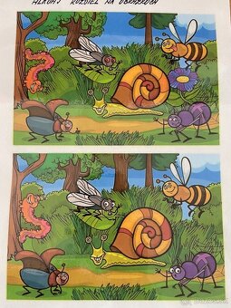 Opatrovanie / animovanie ZŤP / ŤZP / dôchodcov / seniorov / - 6