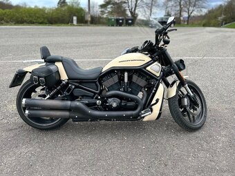 Harley - 6
