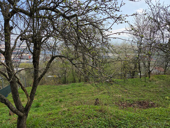 Záhrada Pod Wilec hôrkou - 6