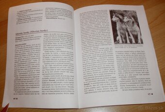 Severské plemená psov - 6