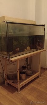Akvárium +prislusenstvo - 6