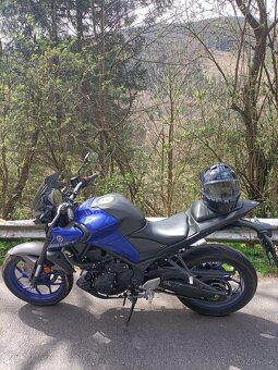 Yamaha mt-03 - 6