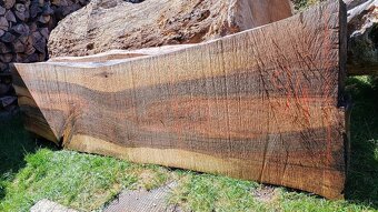 ORECH FOŠNE XXL - 6