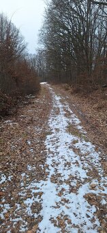 Rekreačný pozemok/ orná pôda 3489m2 v 1/1 - 6