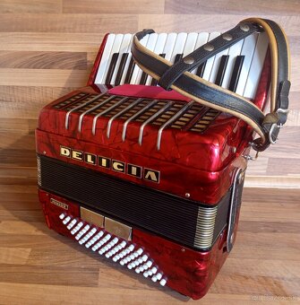 Akordeon, harmonika, heligonka - 6