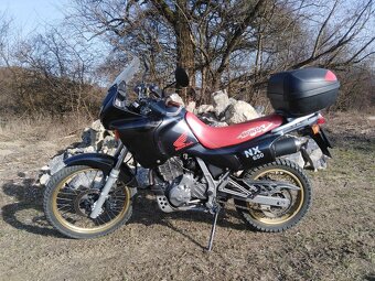 HONDA Dominator NX650 - 6