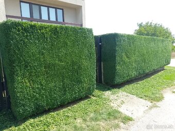 Zakladač trávnika - 6