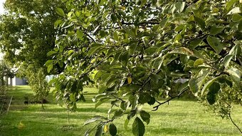 MAĎARSKO - TORNYOSNÉMETI STAVEBNÝ POZEMOK 600 M2 VŠETKY IS V - 6