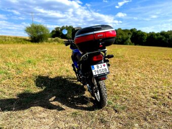 Honda XL650 Transalp - 6