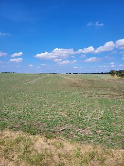 Pozemok v Prahe. Dobrá investícia - 6