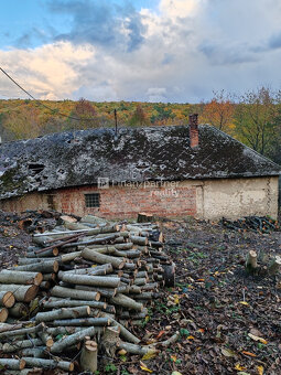 Dom na samote v lese-pokoj, ticho Stará Turá - 6