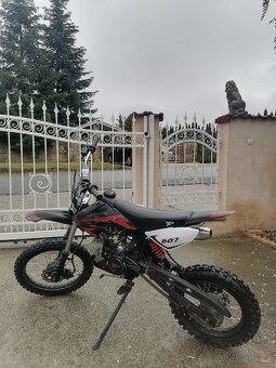 Predam pitbike xtr125 - 6
