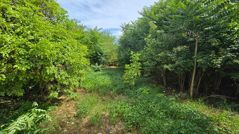 RD s pozemkom 1162 m2 v obci Jur nad Hronom - 6