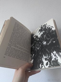 Karl May - Čierny Mustang - 6