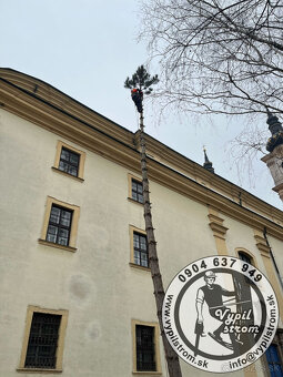 Pilenie a orezavanie stromov, kosenie a udrzba zahrad - 6